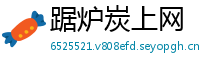 踞炉炭上网